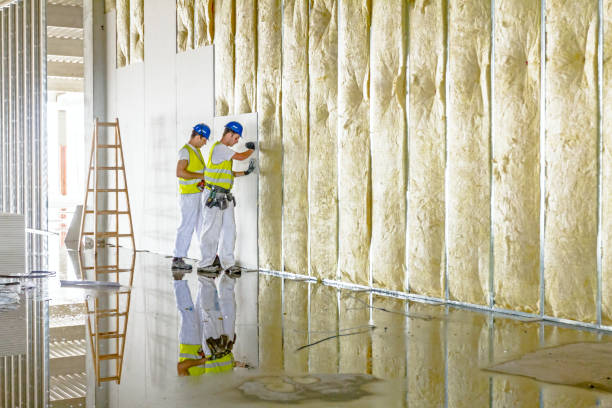 Best Local Insulation Services  in Brusly, LA